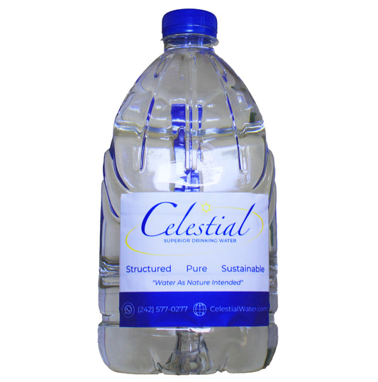 1 Gallon Reusable Water Bottle